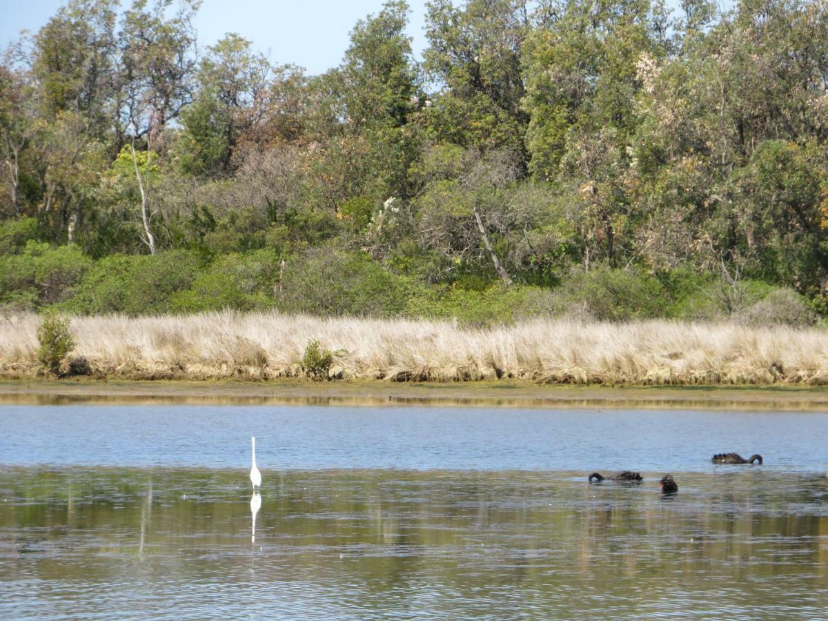 Lakes Entrance Waterfront Cottages With King Beds Εξωτερικό φωτογραφία